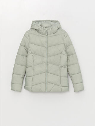 Dull Green