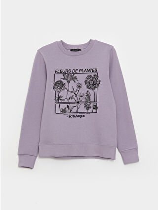 Dull Lilac