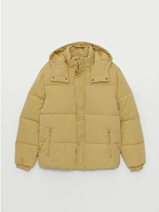 Light Olive Green
