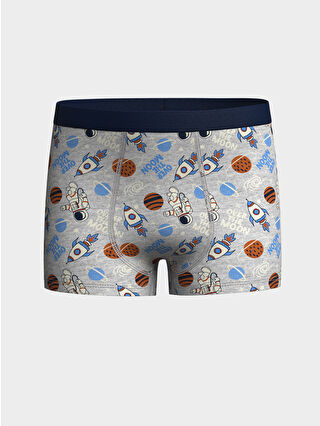 Gri Melanj Baskılı