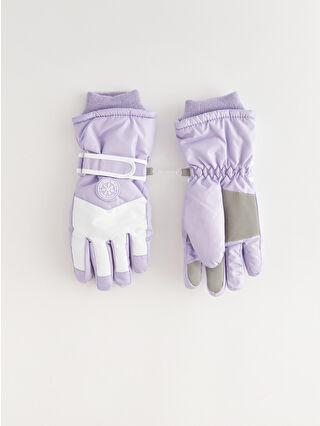 Dark Lilac