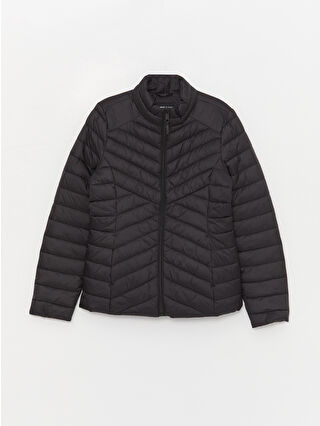 New Black