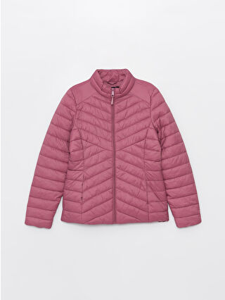 Dusty Rose