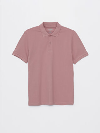 Dusty Rose