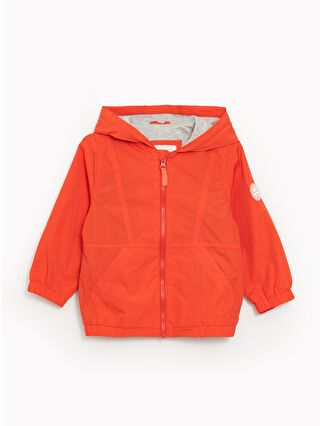 Bright Orange