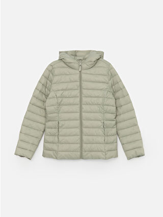 Dull Green