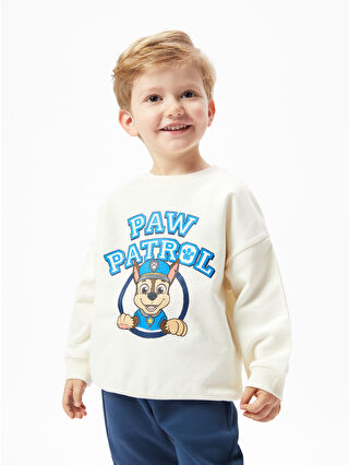 LC Waikiki Bej Bisiklet Yaka Uzun Kollu Paw Patrol Baskılı Erkek Bebek Sweatshirt