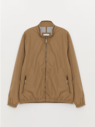 Dark Beige