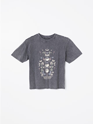 لون انتراسيت روديو