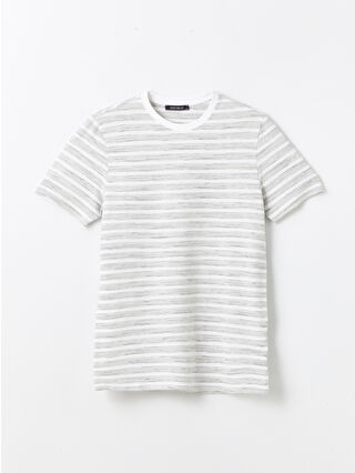 Grey Striped