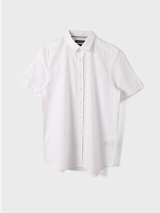 Buxe White