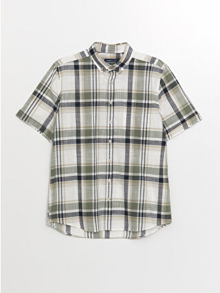 لون أخضر زيتوني فاتح