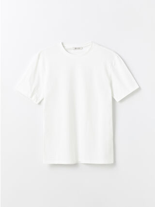 أوبتيك وايت