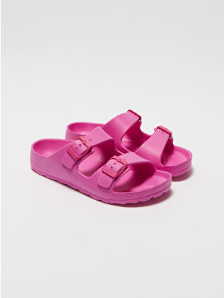 Fuchsia