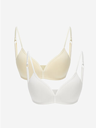 لون أخضر باستيل