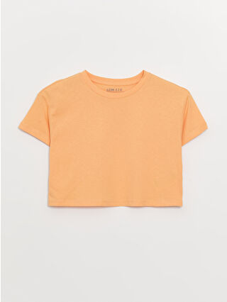 Pastel Orange