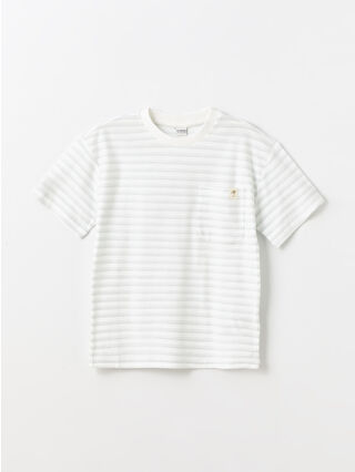 لون أزرق فاتر مخطط