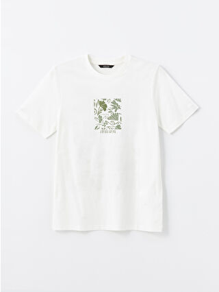 أوبتيك وايت