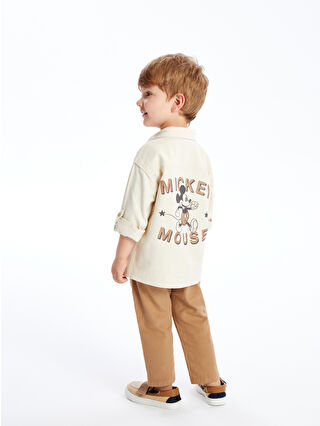 لون أخضر نعناعي