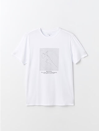 Buxe White