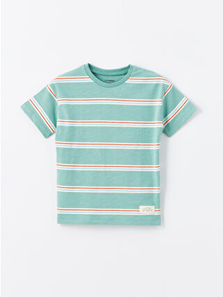 لون أخضر زيتوني فاتح