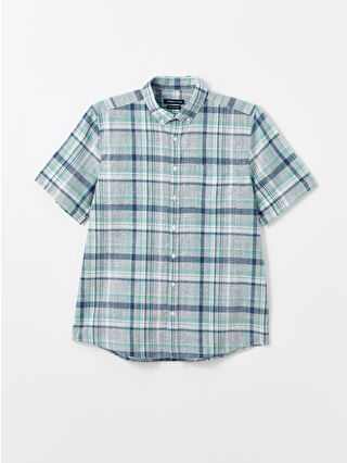 لون أخضر زيتوني فاتح