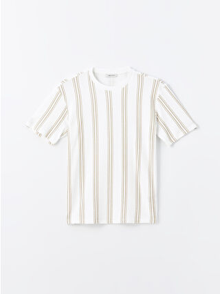 أوبتيك وايت