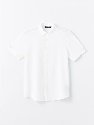 Buxe White