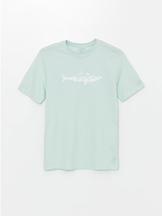 Aqua Green