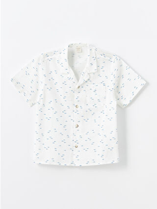 لون أبيض مطبوع