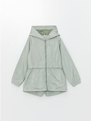 Dull Green