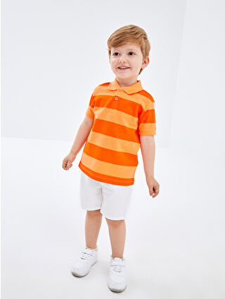 Orange Striped