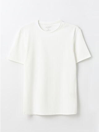 أوبتيك وايت