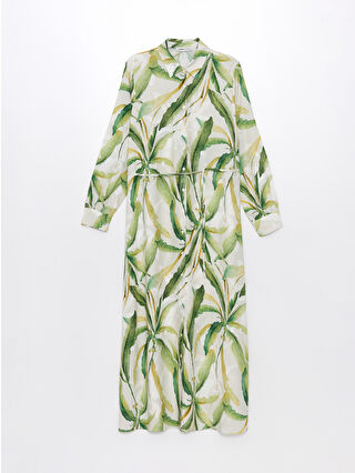 لون أخضر زيتوني فاتح