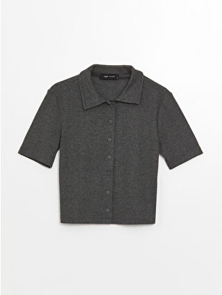 Anthracite Melange