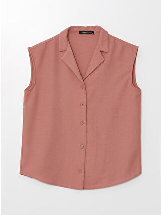 Salmon Pink