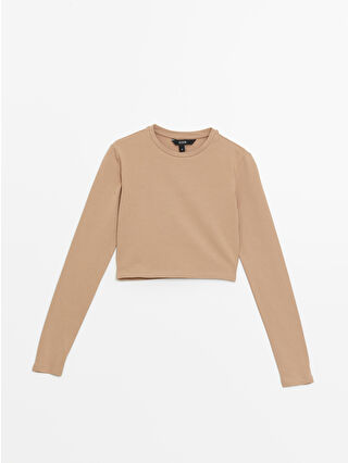 معرف حديثًا