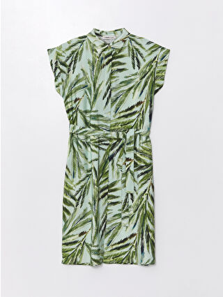 لون أخضر زيتوني فاتح