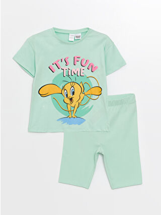 لون أخضر باستيل