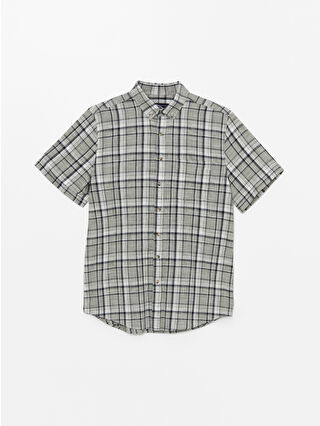 لون أخضر زيتوني فاتح