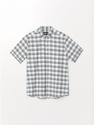 لون أخضر زيتوني فاتح