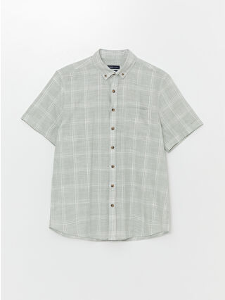 لون أخضر زيتوني فاتح