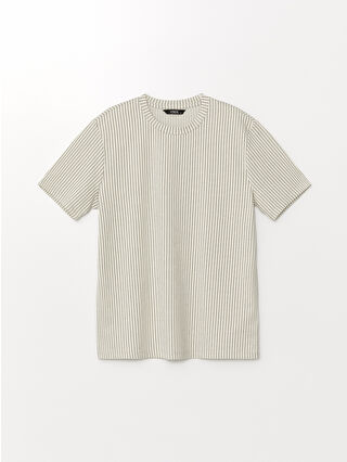 لون أخضر زيتوني فاتح