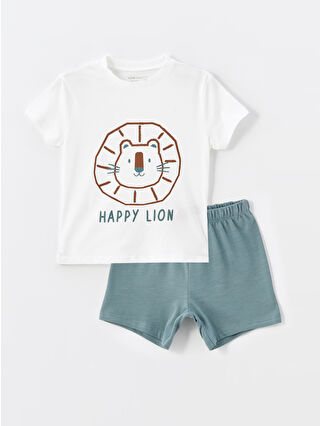 لون أخضر ميلانج