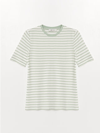 لون أخضر زيتوني فاتح