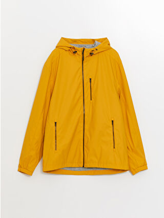 Dark Yellow