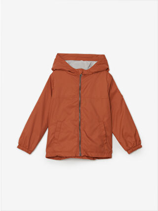 Burnt Orange