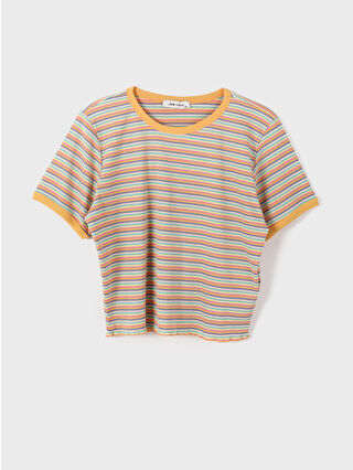Orange Striped