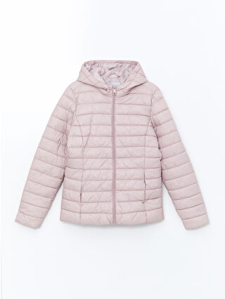 Dull Lilac