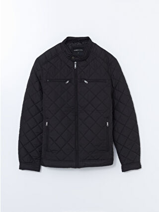 New Black